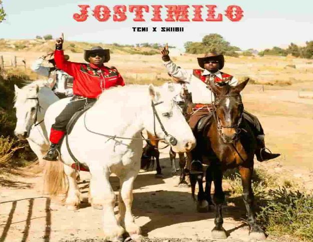 Teni – Jostimilo ft. Skiibii 